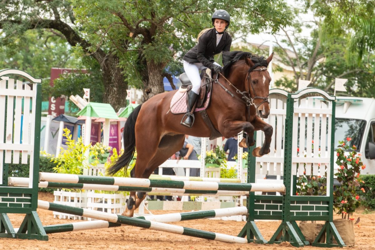 Posadas ya palpita el III y IV Torneo Federal de Saltos Hípicos