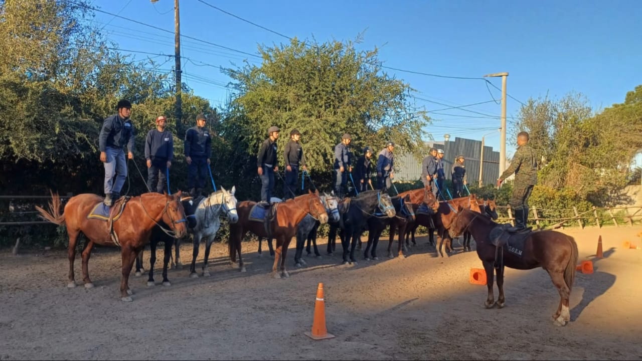 mujer policia 1 - 1