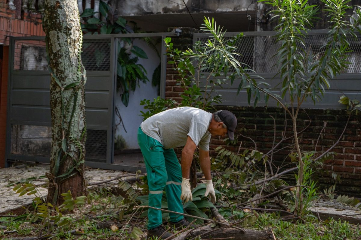 Posadas continúa con el Operativo Integral de Poda