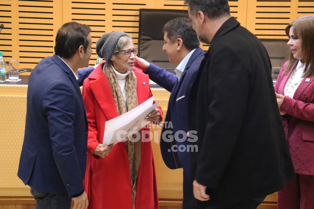 La Legislatura provincial realizó una nueva entrega de la distinción “El Ángel de la Selva” 1 2 - premios 6 - 1
