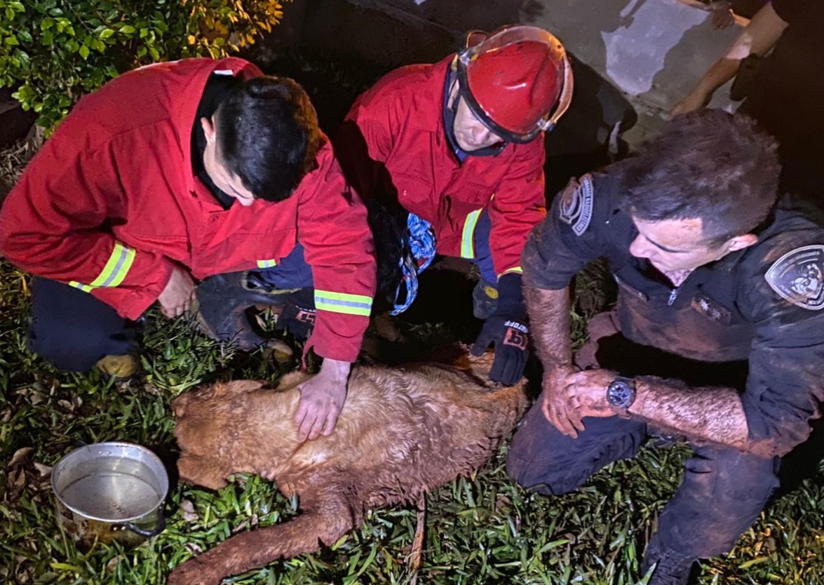 Apóstoles: rescataron a un labrador que había caído a un pozo y estuvo desaparecido cinco días