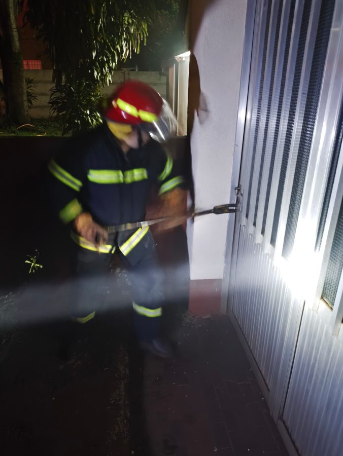 rescate de animales 2 - 1