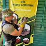 rescate silvestre 3 - 5