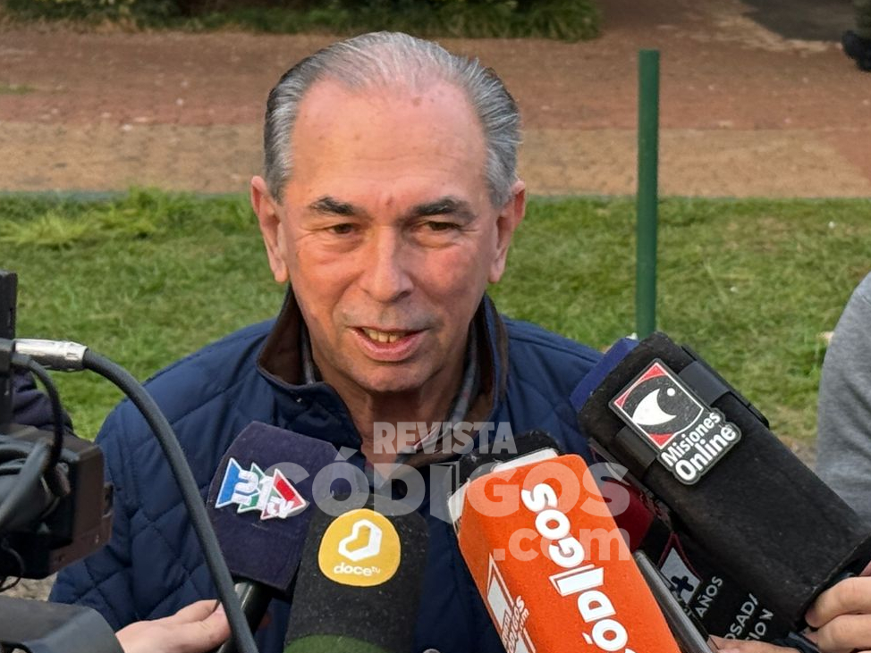 stelatto votando (3)