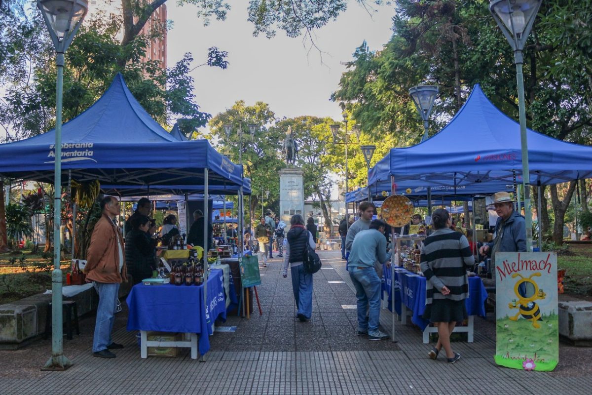 plaza dulce