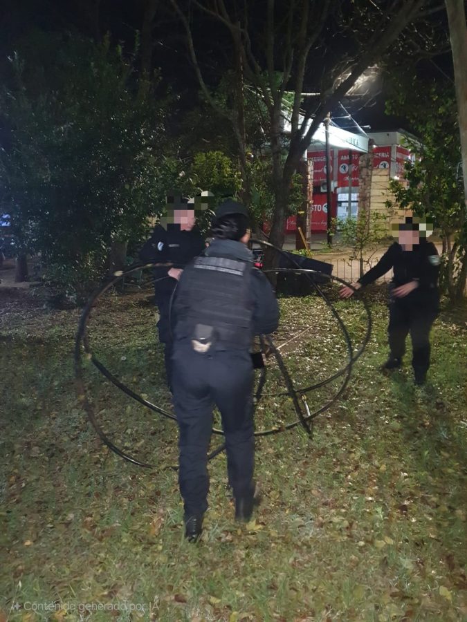 Con camaras y patrullas la Policia atrapo a cinco delincuentes reincidentes en Posadas 2 - 11