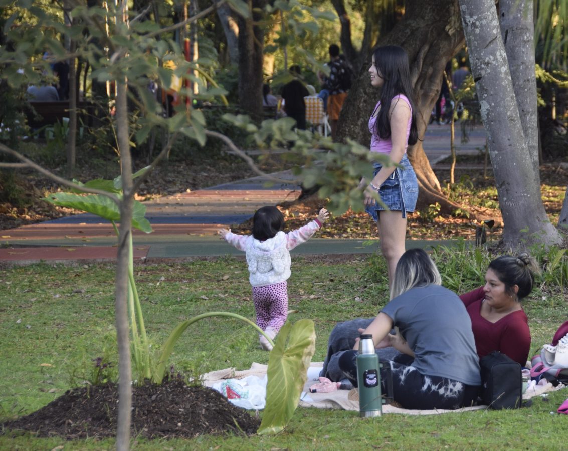 Vacaciones de invierno en Posadas: el Jardín Botánico, una opción natural y recreativa