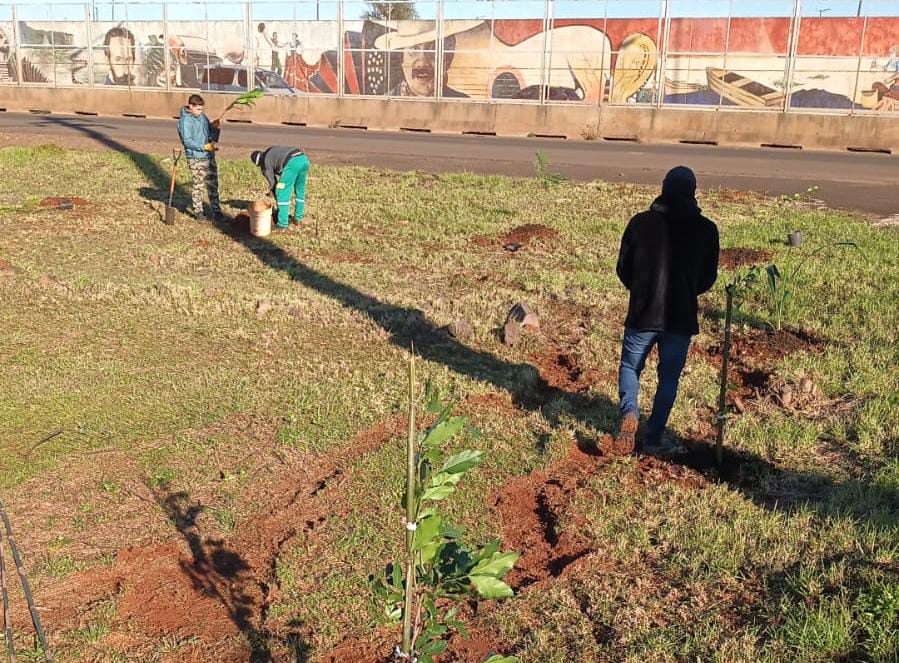 Plantaron 170 árboles en el Centro de Frontera de Posadas