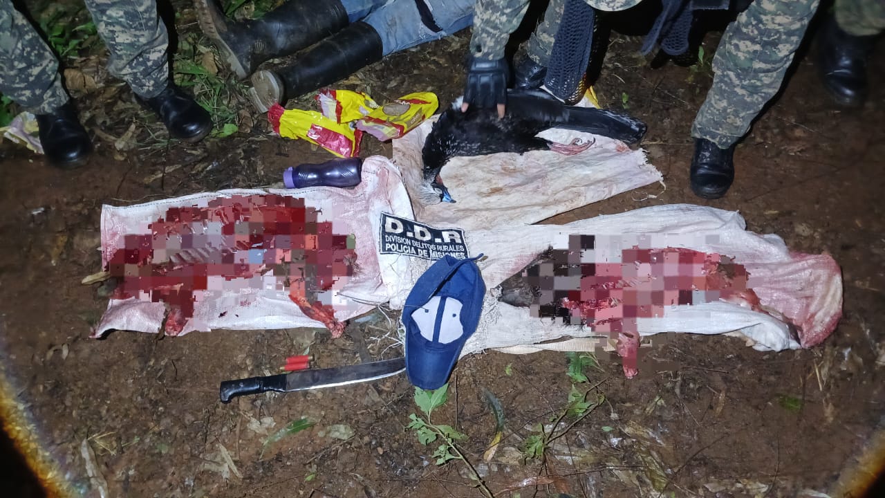 IMG 20250712 WA0016 - 1