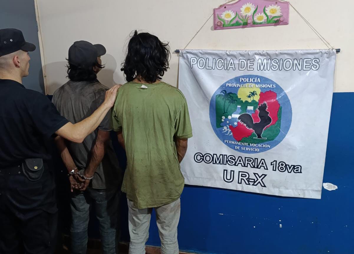 Posadas: detuvieron a dos hombres por robar cables del alumbrado público