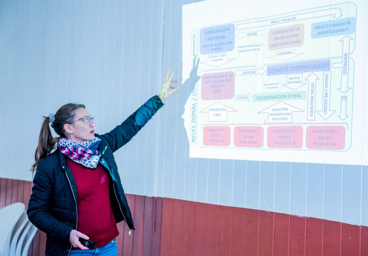 Misiones fortalece la apicultura sostenible con enfoque agroecológico