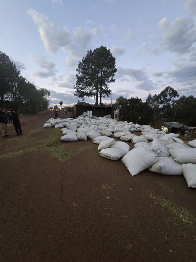 Murio un conductor tras un siniestro fatal sobre la ruta provincial 4 en Alem 3 - 3