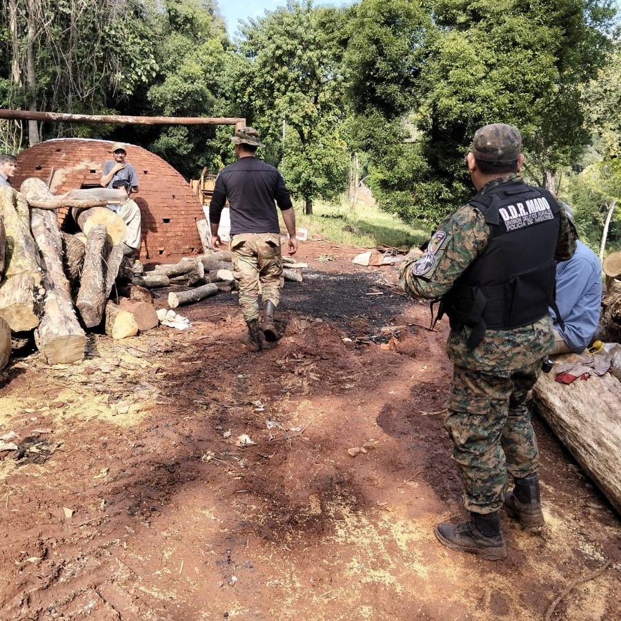 campamento furtivo 1 - 1