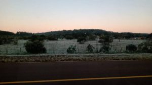 helados