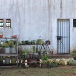 huerta en unidad penal 7 - 11