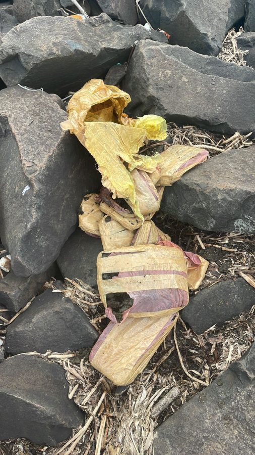 marihuana en posadas 1 - 3