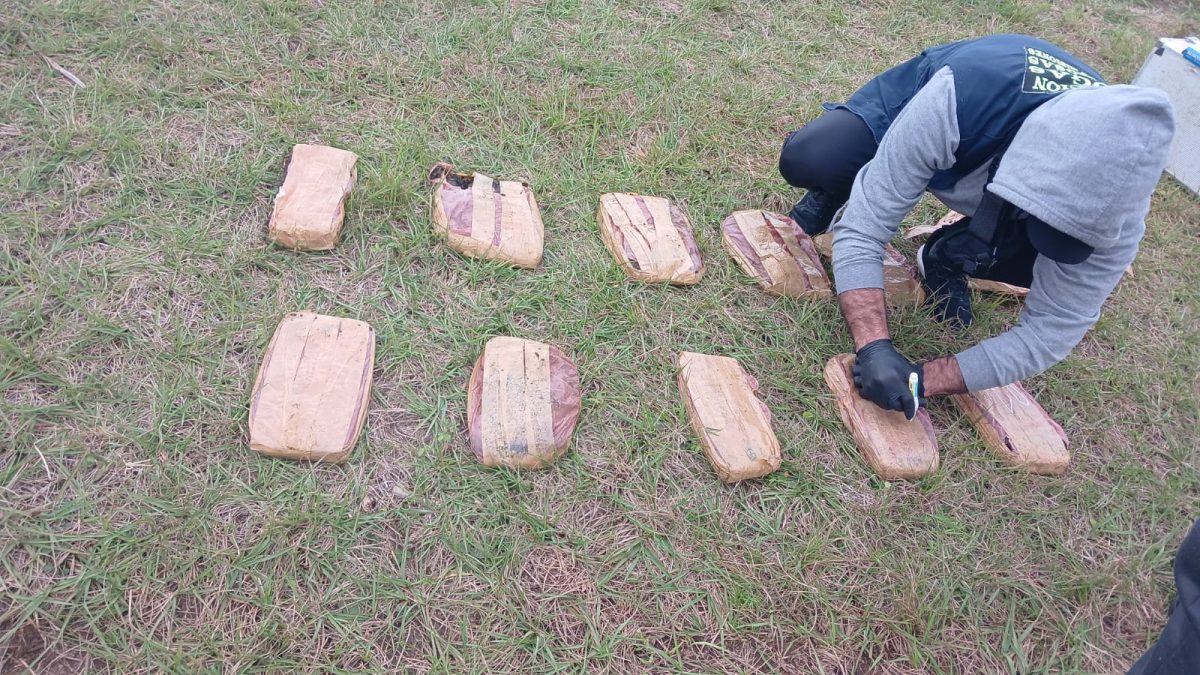 marihuana en posadas 2 - 1