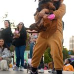 mascotas en posadas 1 - 1