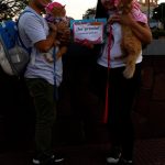 mascotas en posadas 2 - 3