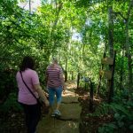 Moconá, Salto Encantado y la Cruz: opciones naturales para cerrar el receso invernal en Misiones 3 6 - parques provinciales 3 - 5