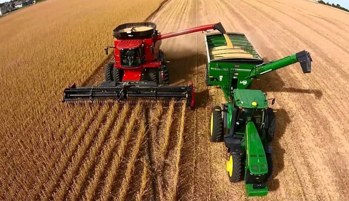 El Gobierno oficializó la baja de retenciones para la soja, carne, maíz,  sorgo y girasol