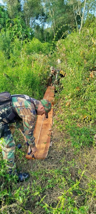 Armas incautadas y detenidos tras delitos ambientales en Misiones 1 - 1