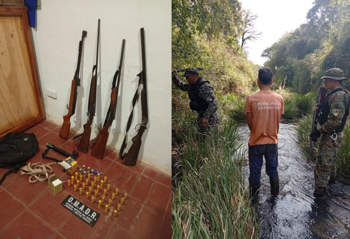 Armas incautadas y detenidos tras delitos ambientales en Misiones