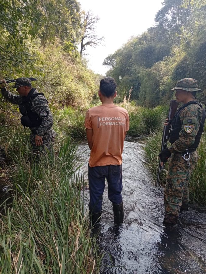 Armas incautadas y detenidos tras delitos ambientales en Misiones 3 - 9