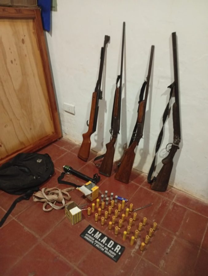 Armas incautadas y detenidos tras delitos ambientales en Misiones 4 - 5