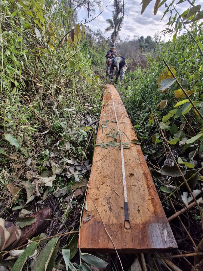 Armas incautadas y detenidos tras delitos ambientales en Misiones 5 - 3