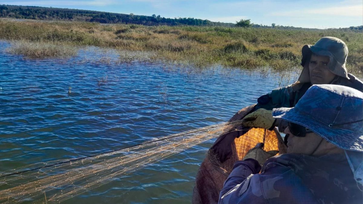 Desmantelan campamentos furtivos tras operativos de control en el Lago Urugua i 2 - 5