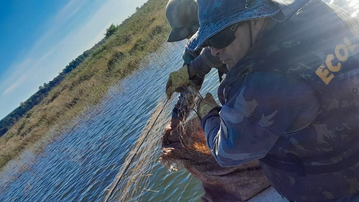Desmantelan campamentos furtivos tras operativos de control en el Lago Urugua i 3 - 3