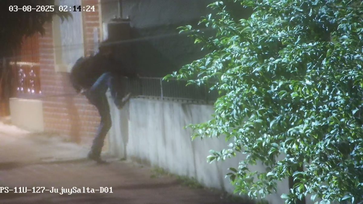 Detenido tras intentar entrar a una casa en la madrugada y ser captado por las cámaras en Posadas