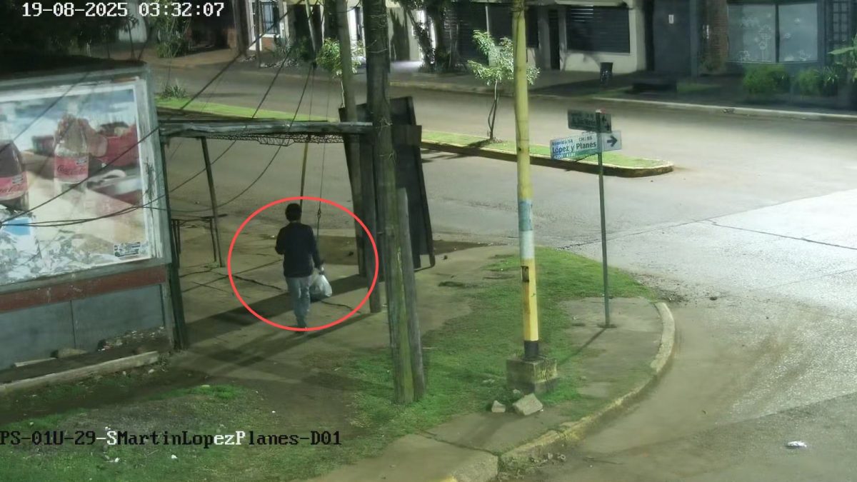 Detuvieron a dos ladrones que fueron detectados por camaras del 911 en Posadas 2 - 29