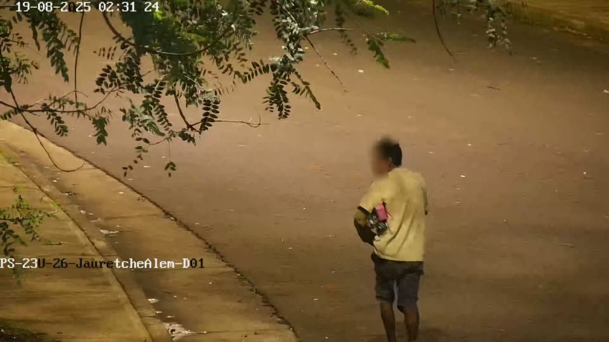 Detuvieron a dos ladrones que fueron detectados por cámaras del 911 en Posadas