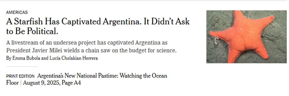 El streaming del Conicet llego a The New York Times con criticas a Javier Milei - 3
