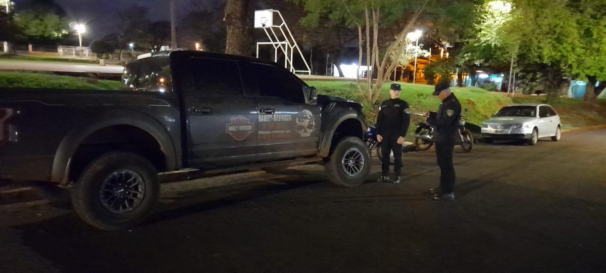 Secuestraron la camioneta que arrolló y mató a un perro en Posadas