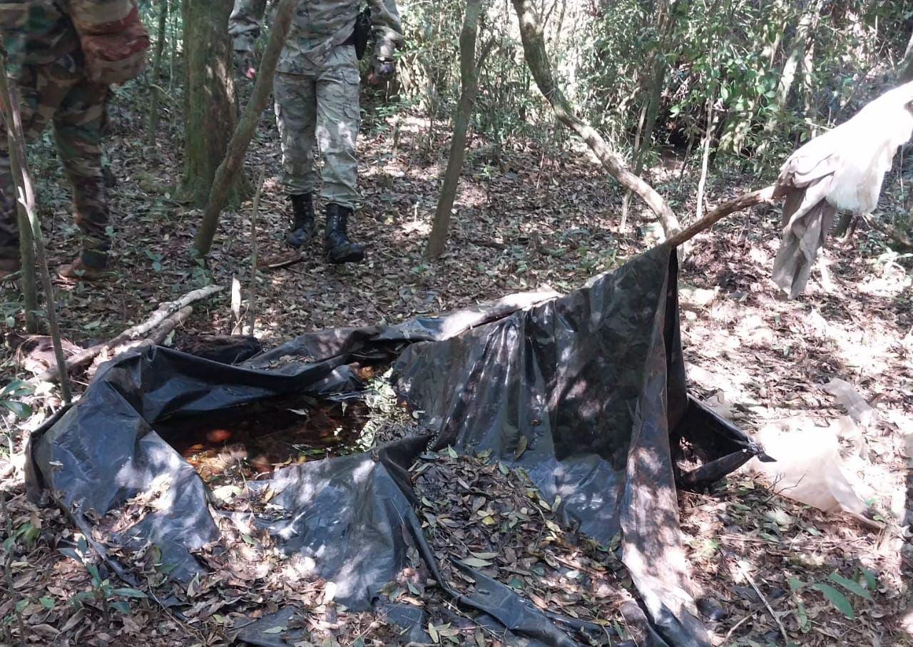 Guardaparques intensifican operativos para prevenir la caza furtiva