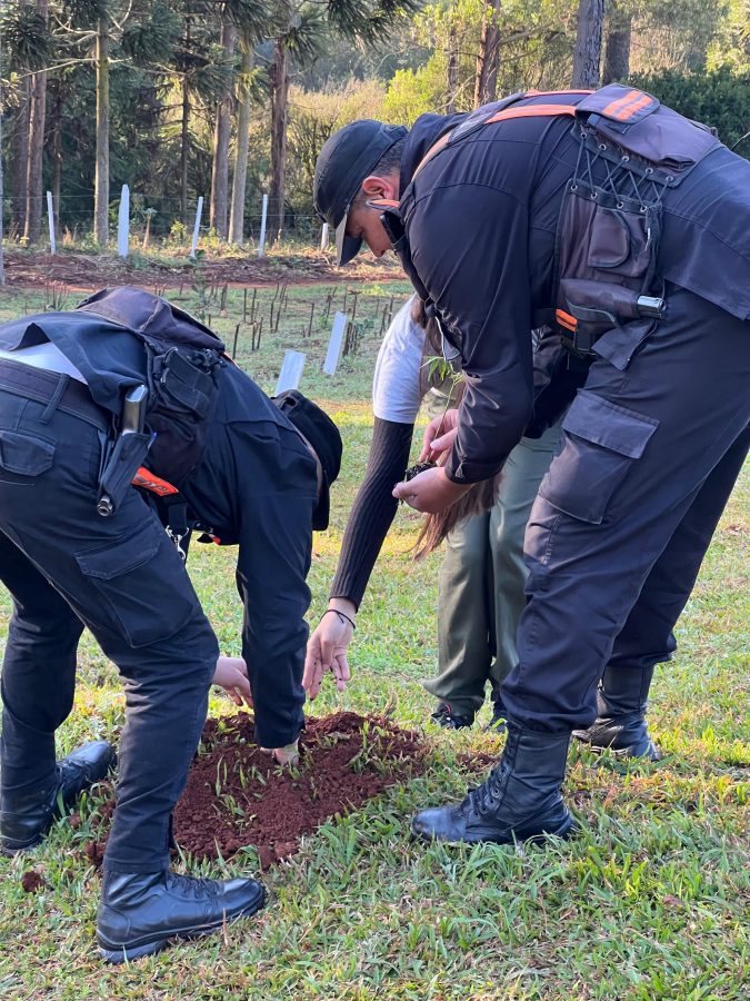 La Policía de Misiones plantó más de 100 especies nativas en el Día del Árbol 2 4 - La Policia de Misiones planto mas de 100 especies nativas en el Dia del Arbol 1 - 3