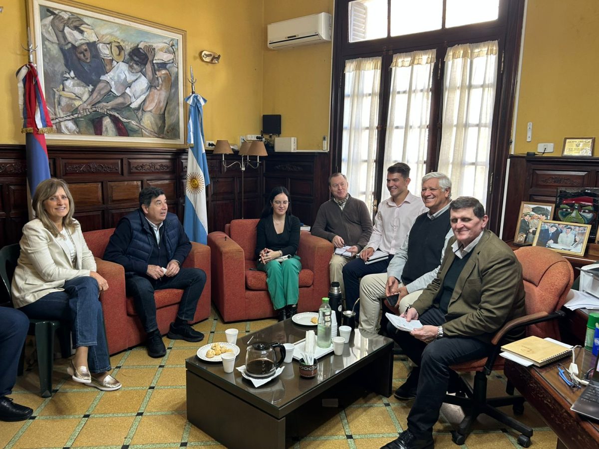 Misiones anuncia nuevas medidas de alivio fiscal y simplificación para empresas