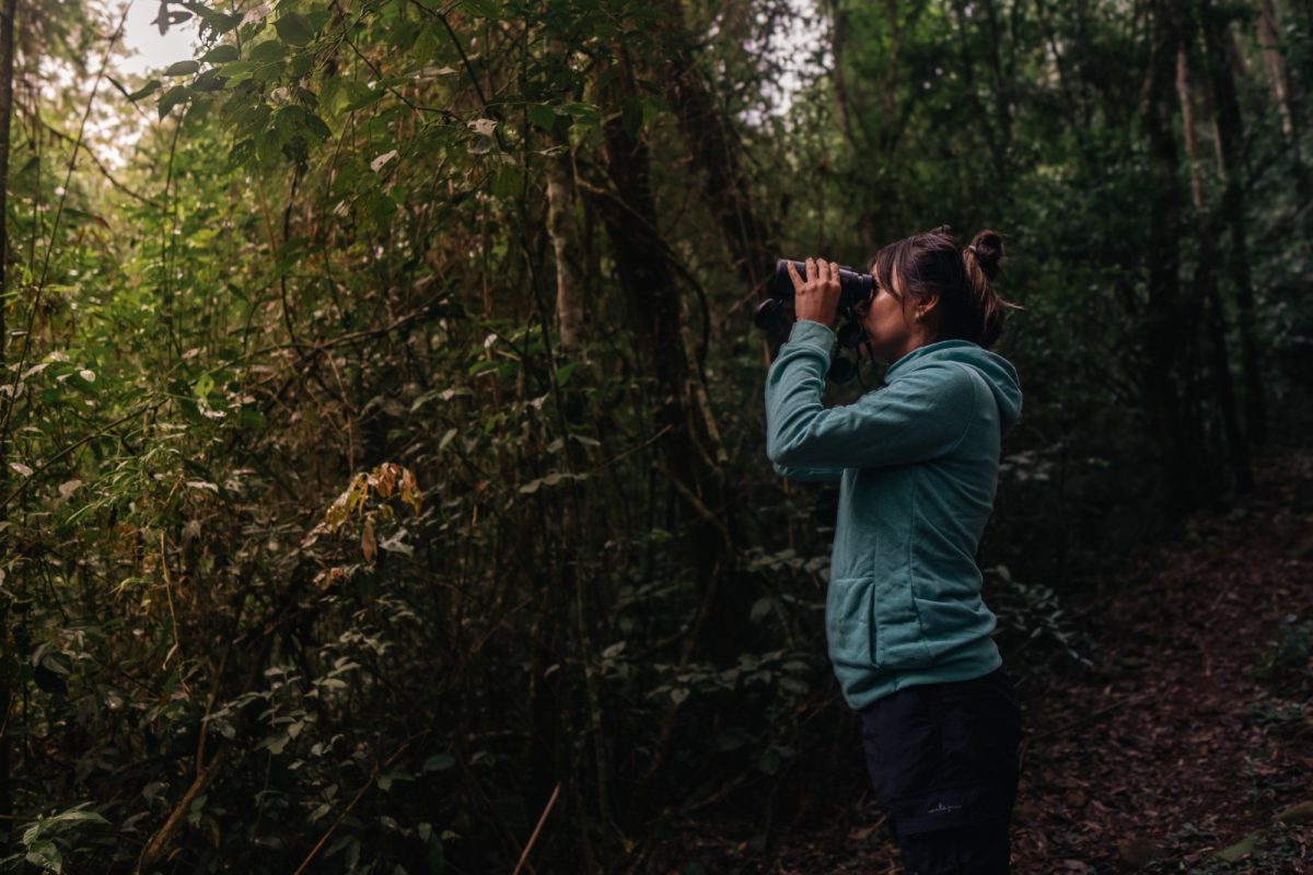 Misiones será sede del primer encuentro internacional de observación de aves