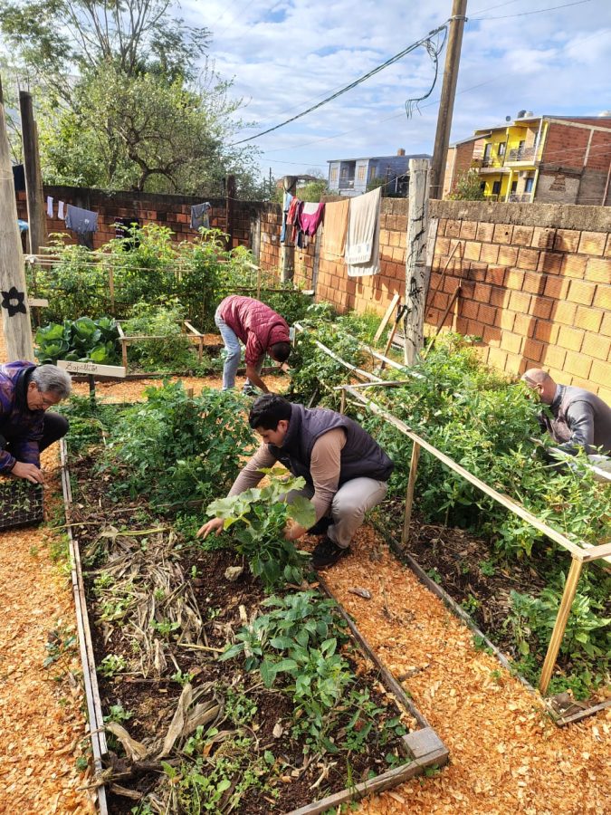Posadas impulsa Red Verde una iniciativa que busca revalorizar la huerta como herramienta social 3 - 5