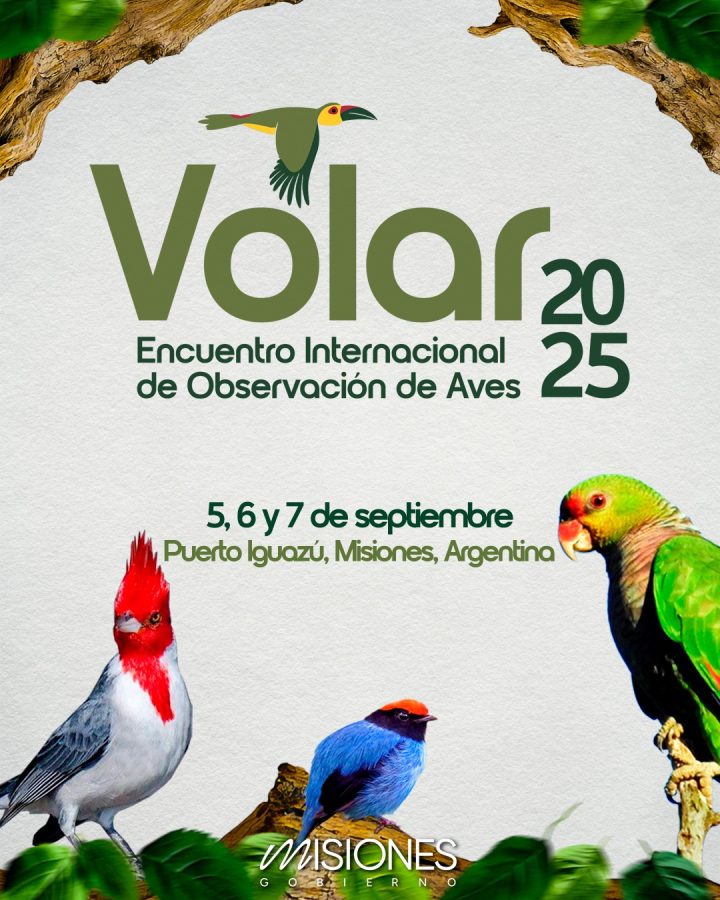 Volar 2025 busca la consolidacion del turismo de observacion de aves en Misiones 2 - 37