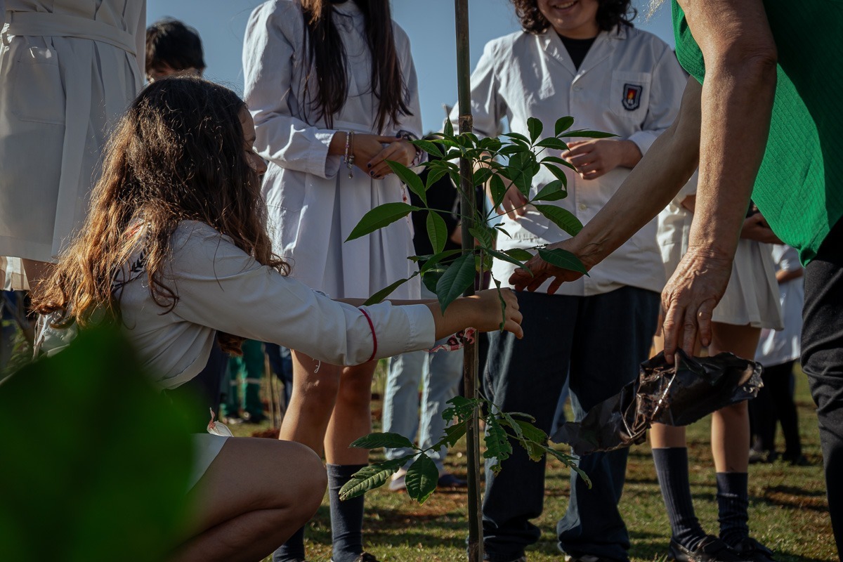 Posadas tiene un nuevo bosque urbano en la Costanera