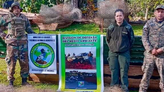 ecologia redes 3 - 27