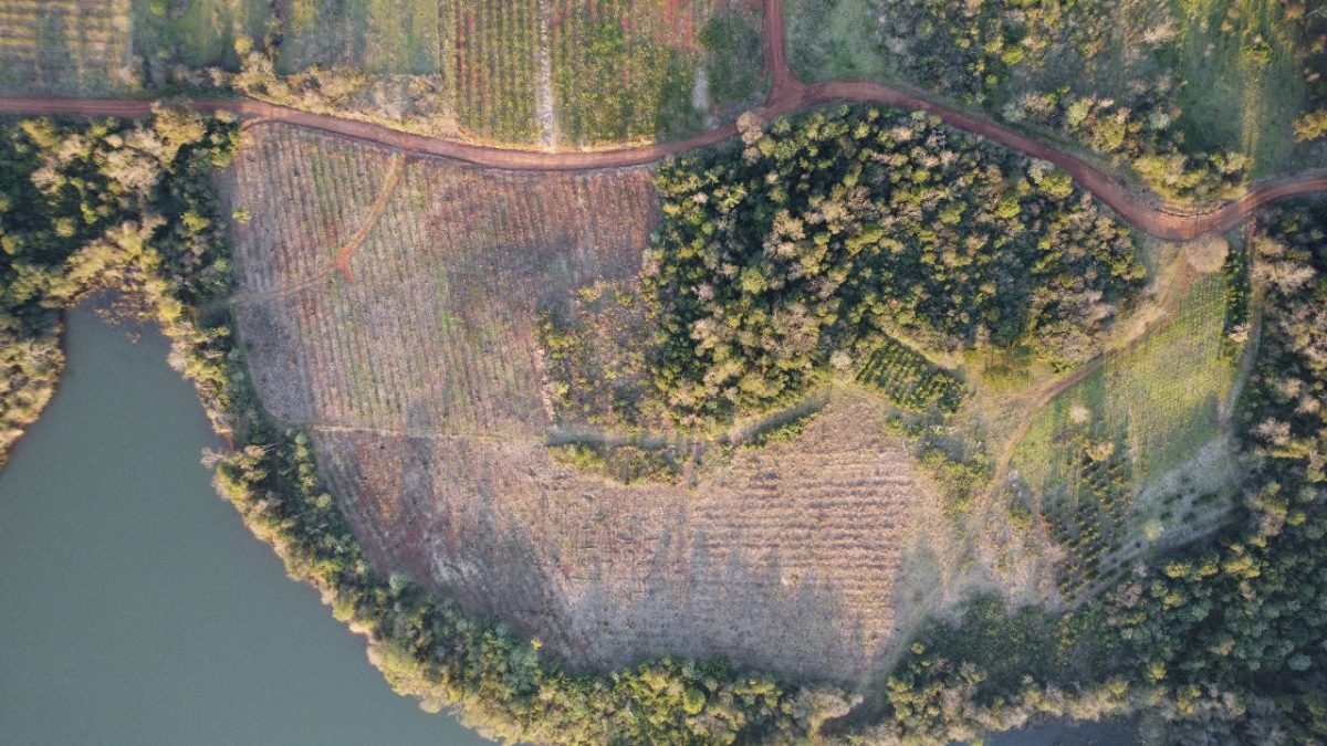el saltito deforestacion 4 - 5