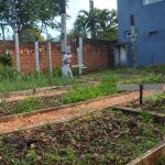 huerta terapeutica 2 - 3