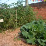 huerta terapeutica 5 - 9