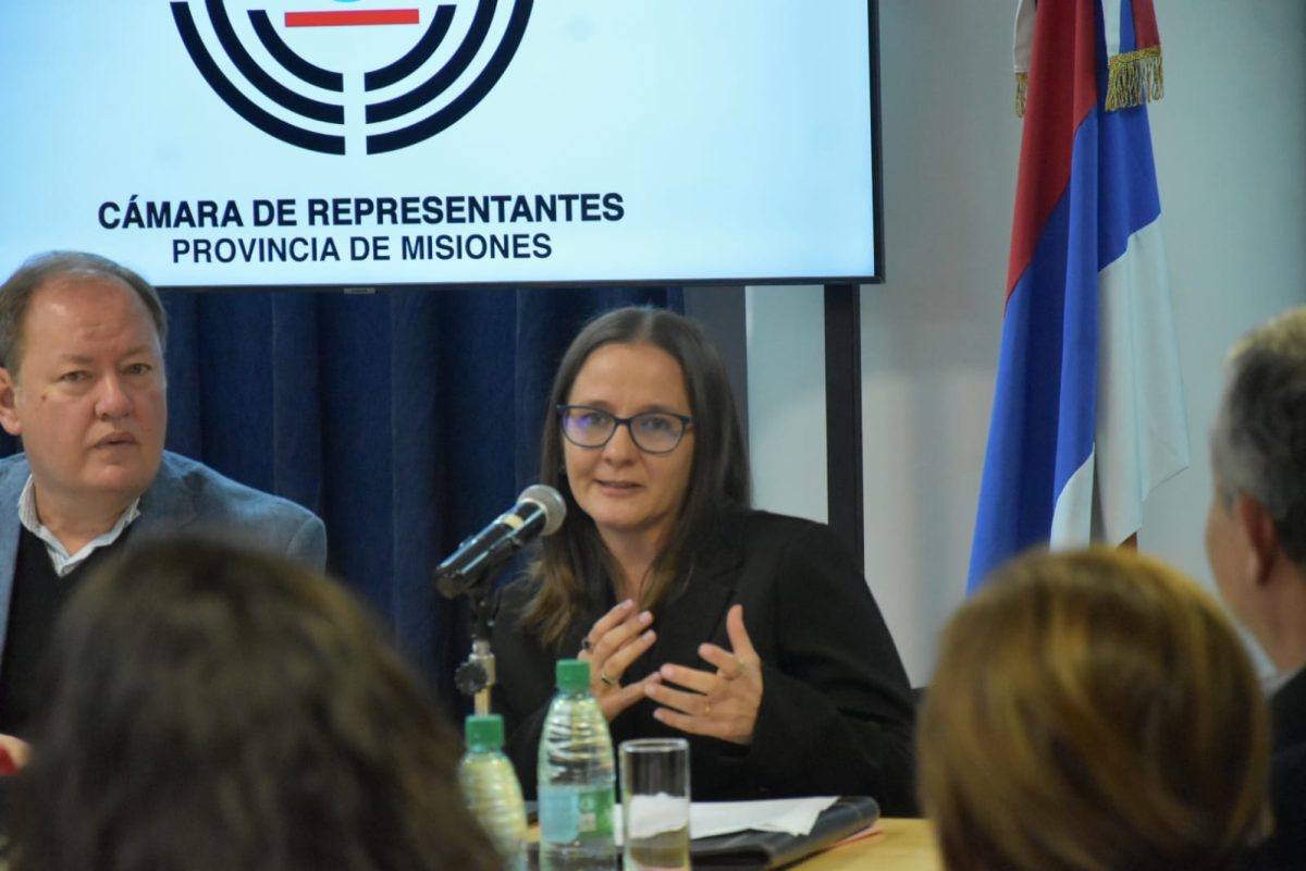 Tres postulaciones judiciales recibieron dictamen positivo tras audiencias en la Legislatura misionera 3 6 - legislatura 4 - 5