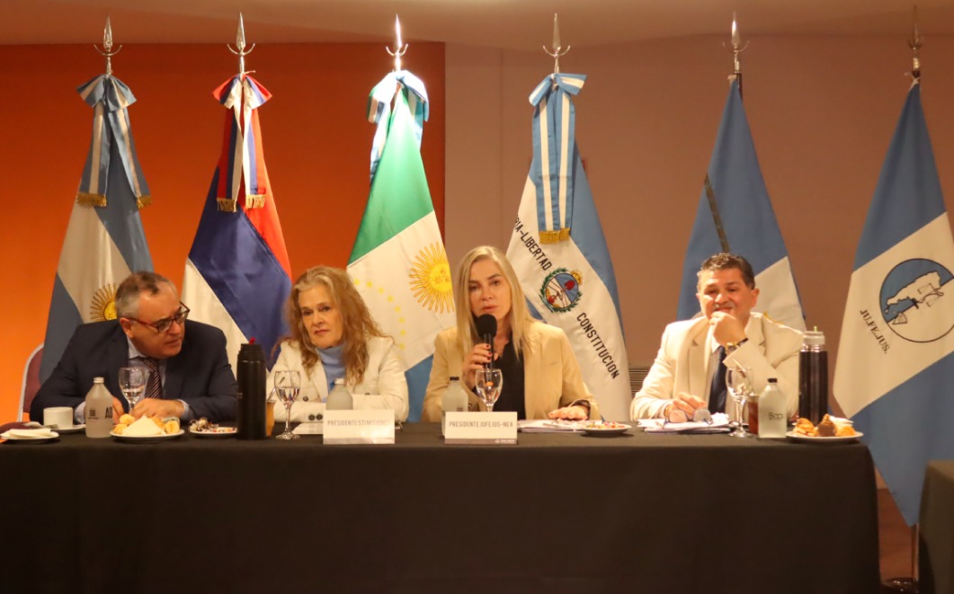 Misiones presidirá la Junta Federal de Cortes y Superiores Tribunales NEA